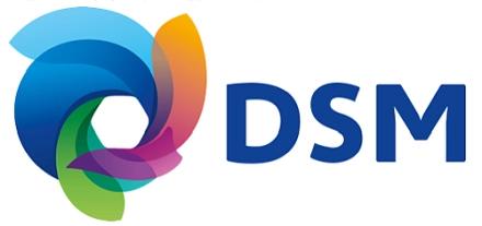 DSM STANYL? PA46